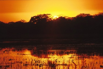 Sunset in the Pantanal